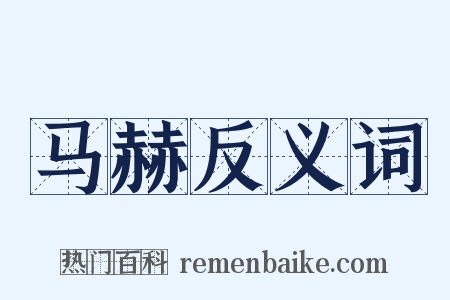 马赫反义词是什么意思的图片